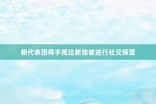 朝代表团得手抵达新加坡进行社交探望